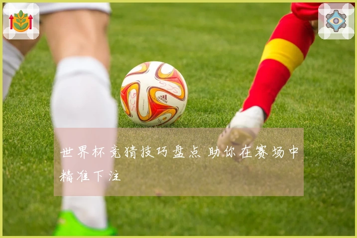 世界杯竞猜技巧盘点 助你在赛场中精准下注