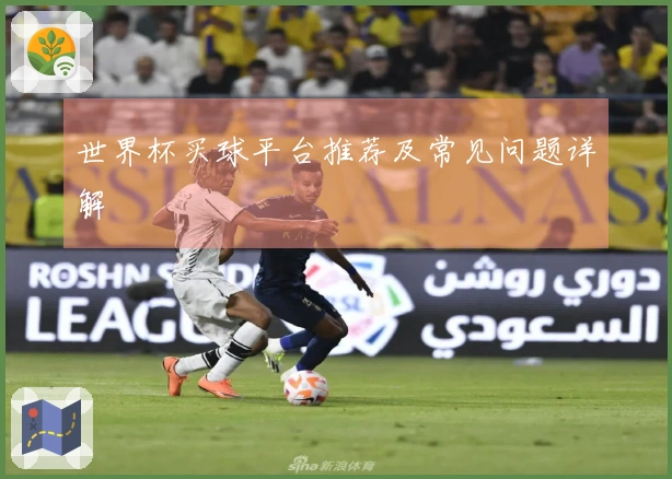 世界杯买球平台推荐及常见问题详解