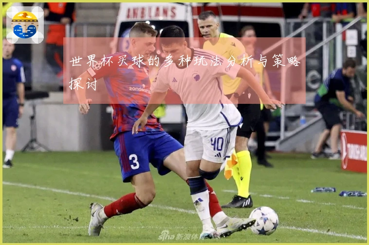 世界杯买球的多种玩法分析与策略探讨