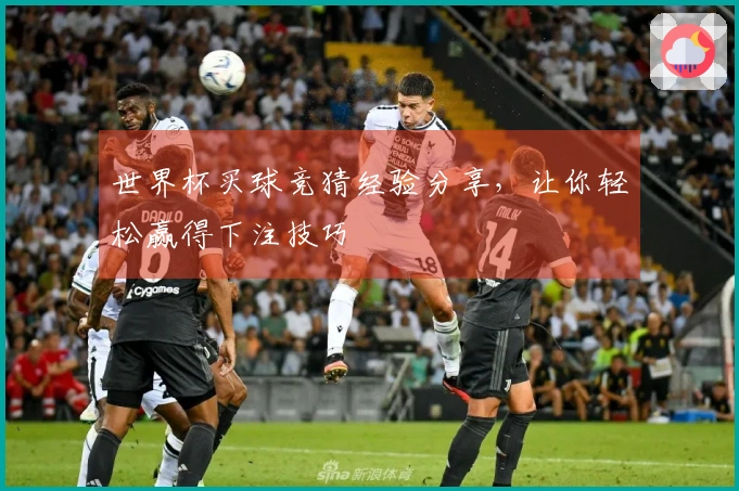 世界杯买球竞猜经验分享，让你轻松赢得下注技巧