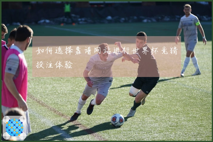 如何选择靠谱网站进行世界杯竞猜投注体验