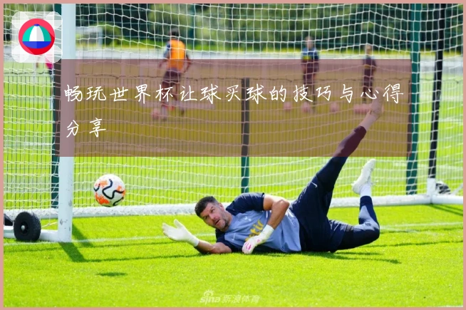 畅玩世界杯让球买球的技巧与心得分享