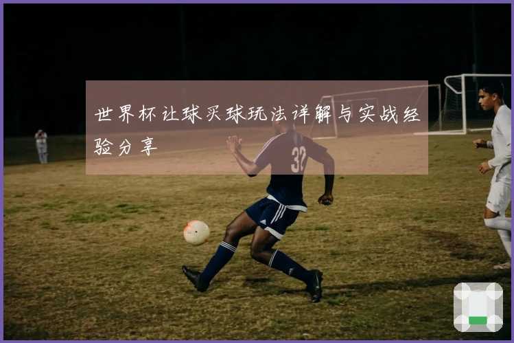 世界杯让球买球玩法详解与实战经验分享