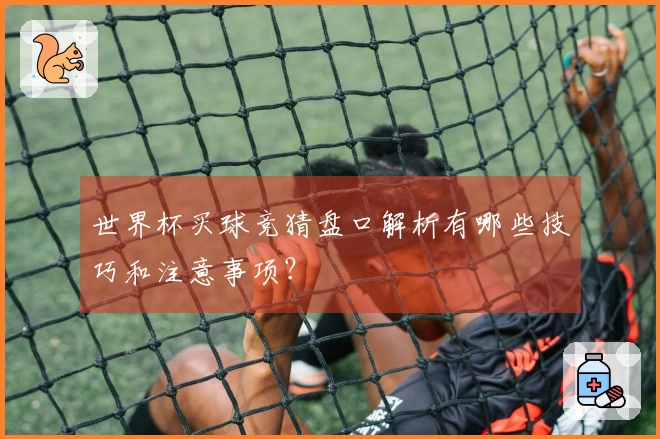 世界杯买球竞猜盘口解析有哪些技巧和注意事项？