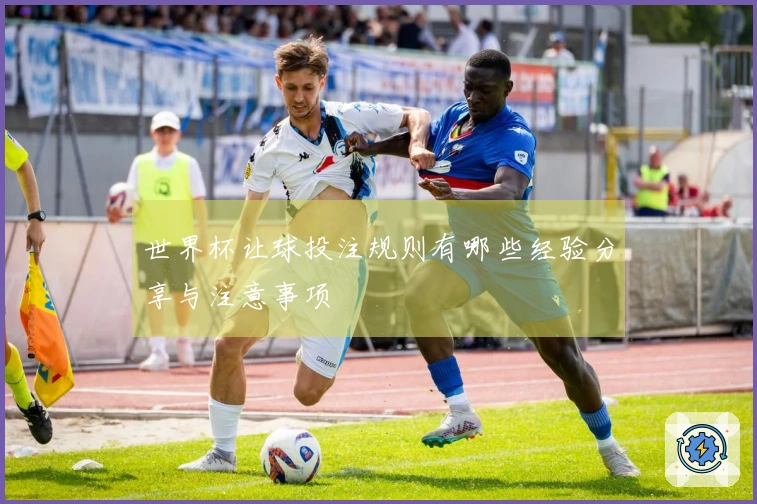 世界杯让球投注规则有哪些经验分享与注意事项