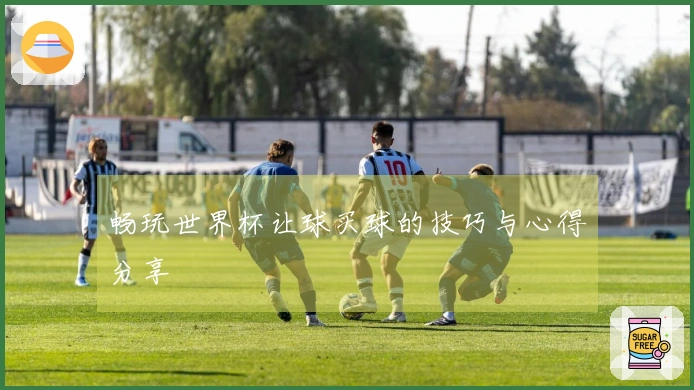 畅玩世界杯让球买球的技巧与心得分享