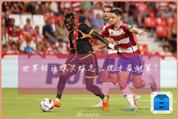 世界杯让球买球怎么玩才最划算？