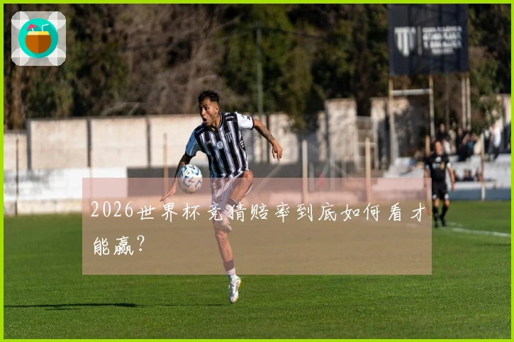 2026世界杯竞猜赔率到底如何看才能赢？