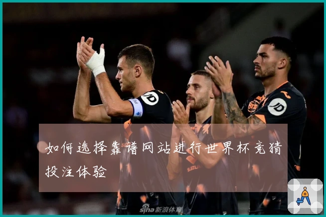如何选择靠谱网站进行世界杯竞猜投注体验