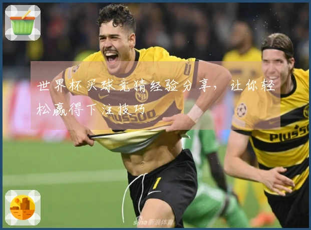 世界杯买球竞猜经验分享，让你轻松赢得下注技巧