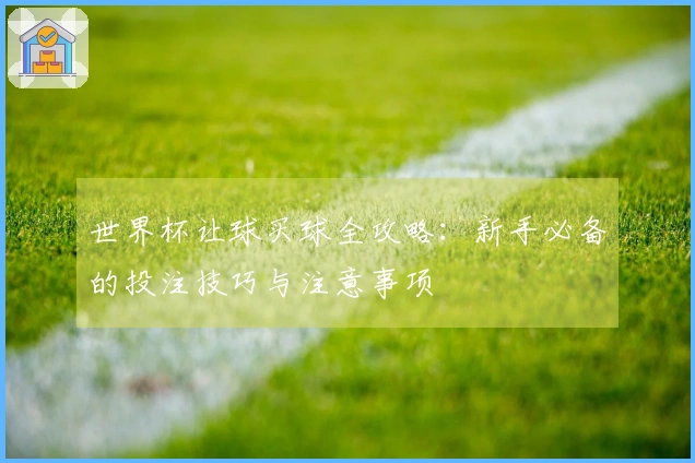 世界杯让球买球全攻略：新手必备的投注技巧与注意事项