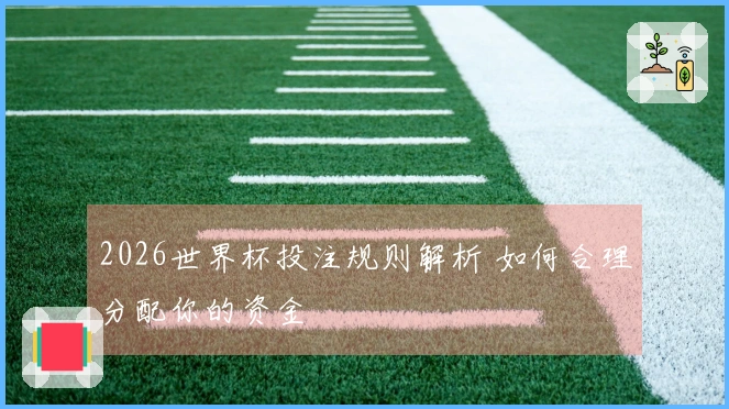 2026世界杯投注规则解析 如何合理分配你的资金