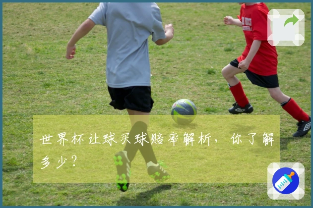 世界杯让球买球赔率解析，你了解多少？