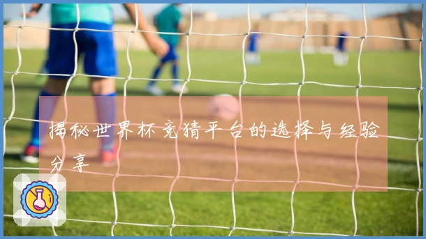 揭秘世界杯竞猜平台的选择与经验分享