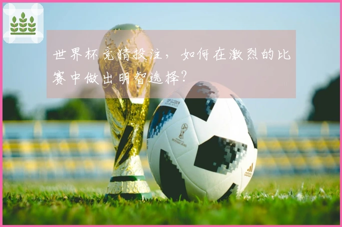 世界杯竞猜投注，如何在激烈的比赛中做出明智选择？