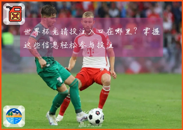 世界杯竞猜投注入口在哪里?掌握这些信息轻松参与投注